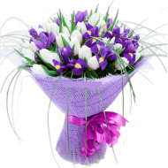 Утренняя свежесть Утренняя свежесть